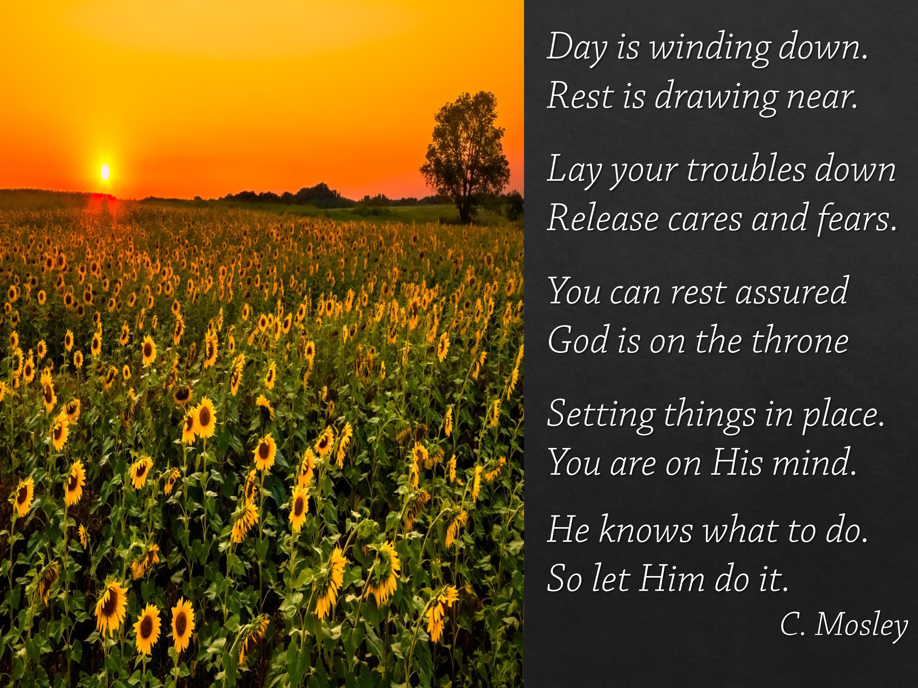 Monday Night Rest Assured