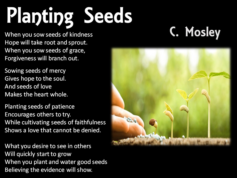 Planting Seeds