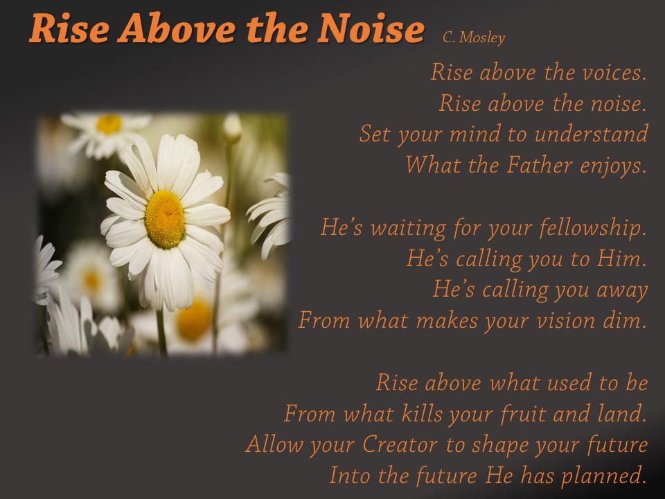 Rise Above the Noise