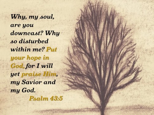 Psalm 43 5